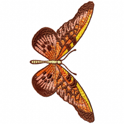 Butterfly Embroidery Design 6 Butterfly Embroidery Design 6